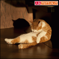 人気ブログランキングへ